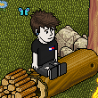 Quarto 290