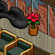 Quarto 3743